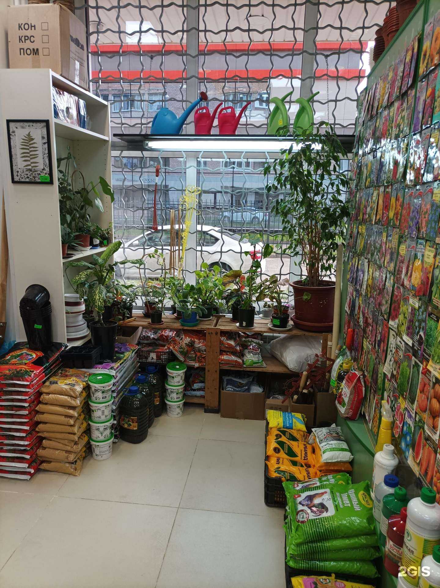 Отзывы на компанию Мой сад-семена в г. Подольск c фото