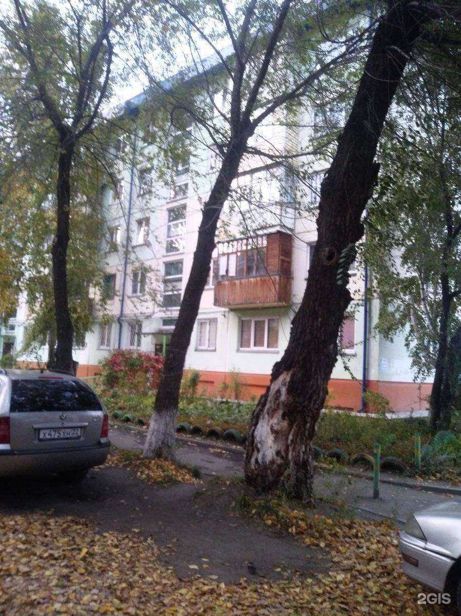 Отзывы на компанию Четыре лапы в Бийске c фото - фотография 2 из 2