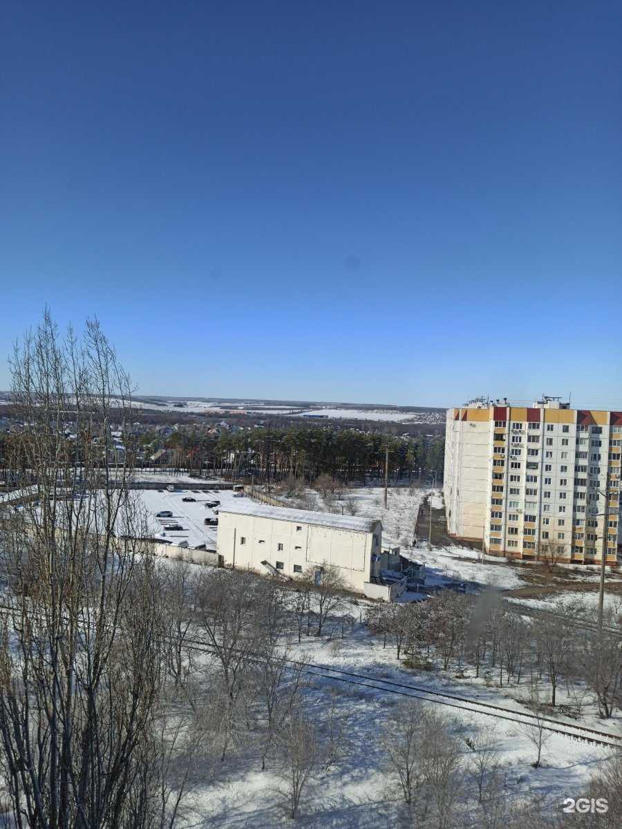 Отзывы на компанию ЛесПрок в Воронеже c фото - фотография 2 из 2