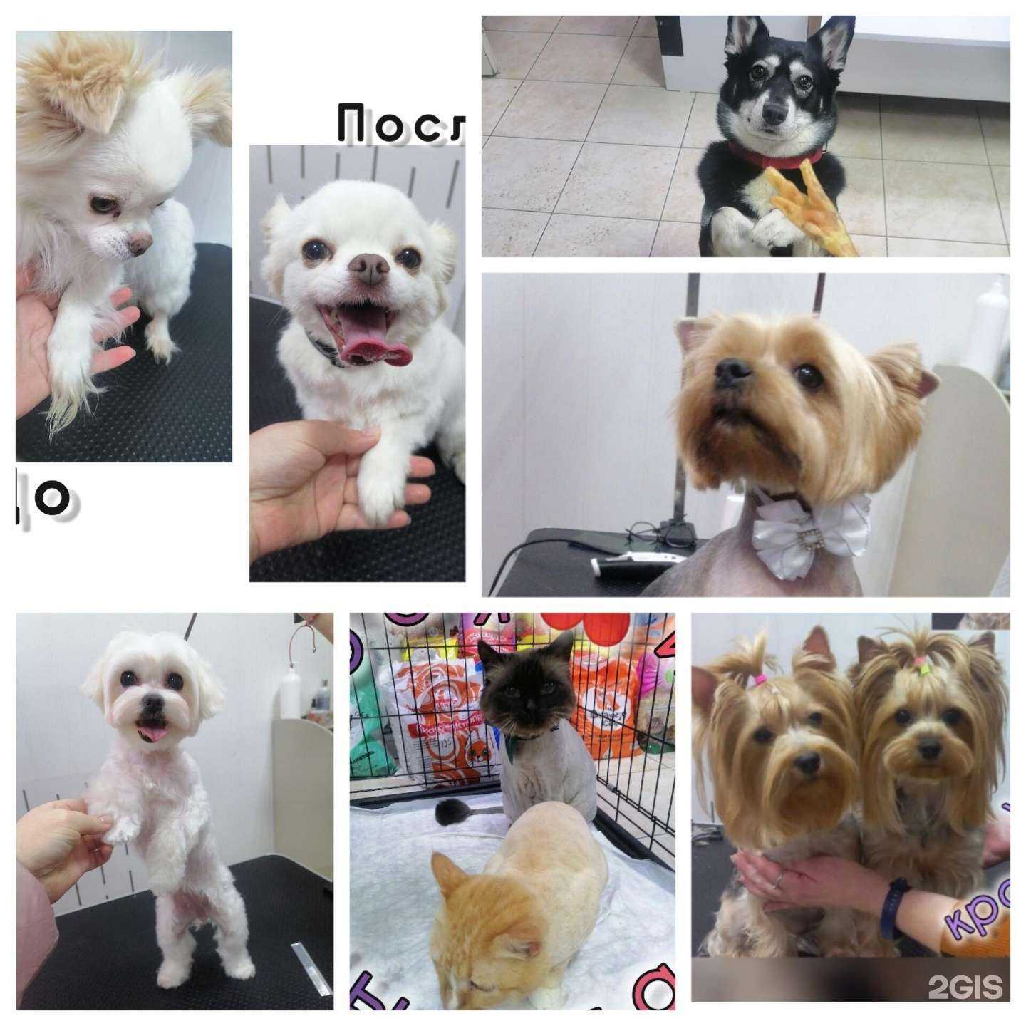 Отзывы на компанию ТимМурка в Тольятти c фото