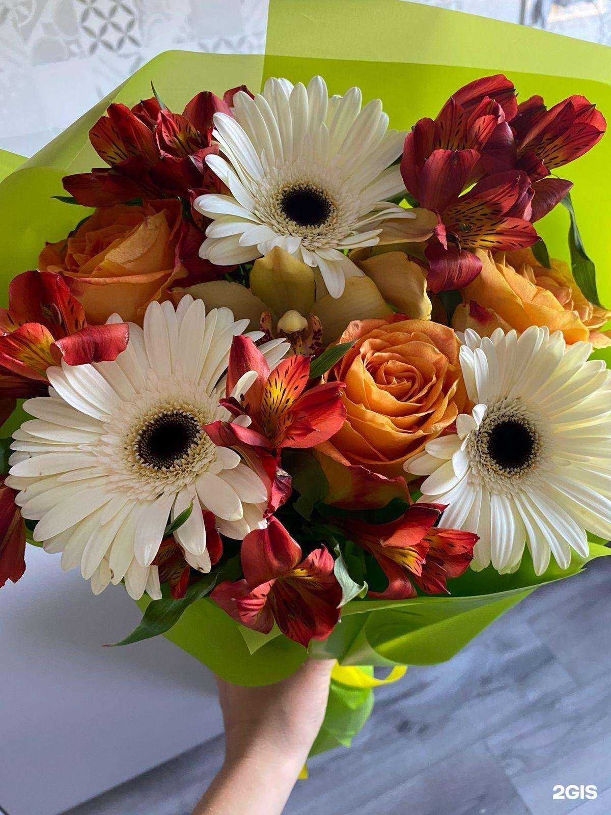 Отзывы на компанию Sibiris в г. Красноярск c фото