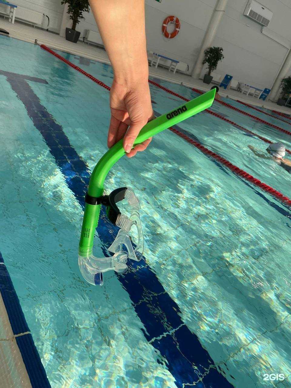 Отзывы на компанию Go swim в г. Хабаровск c фото