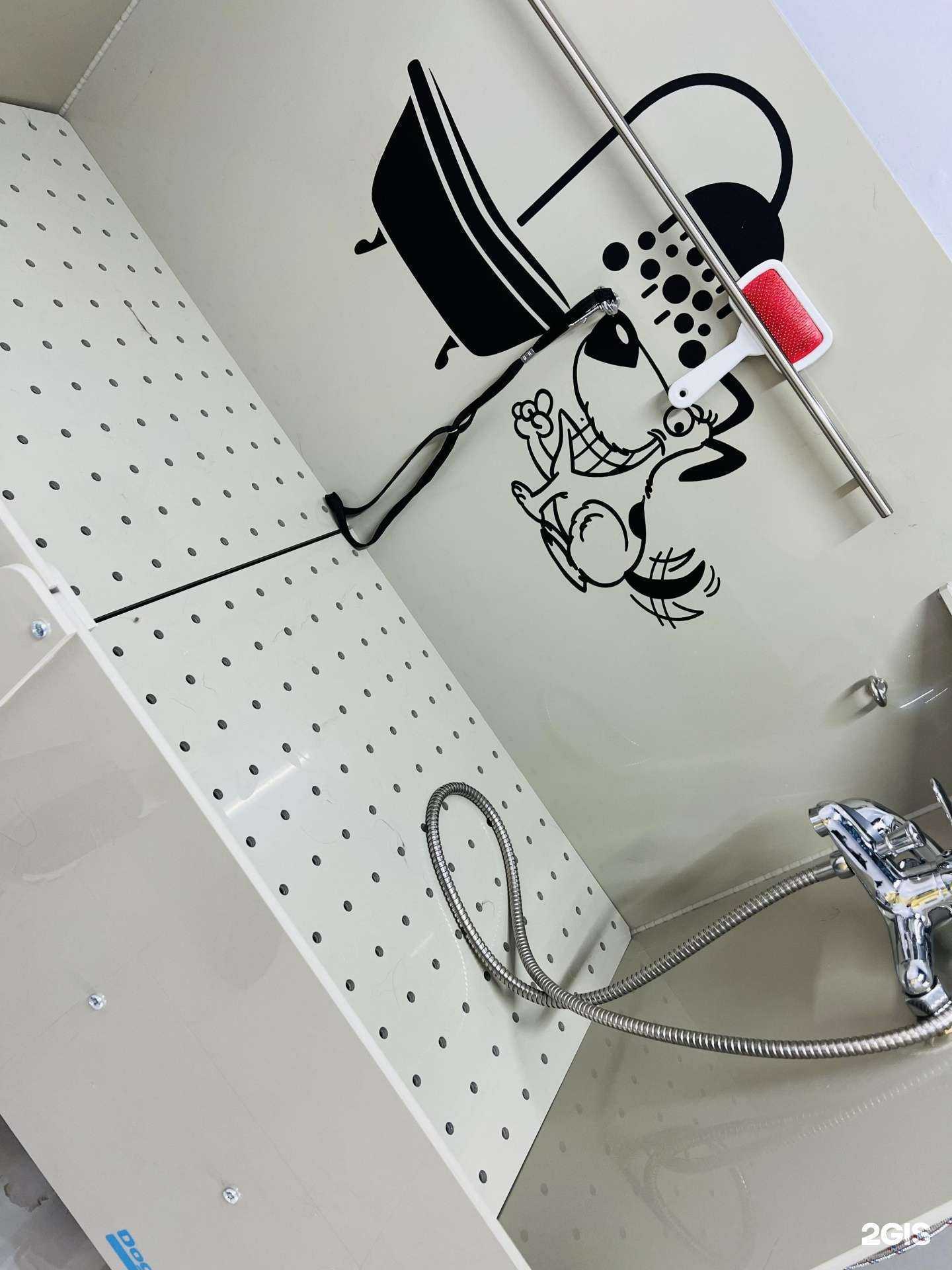 Отзывы на компанию Зоо. Груминг. Дом в Балашихе c фото