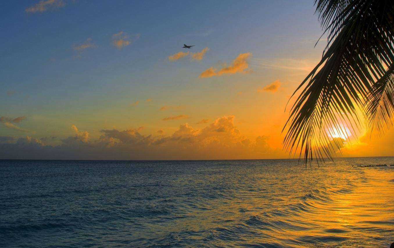 Отзывы на компанию Счастливые каникулы в г. Екатеринбург c фото