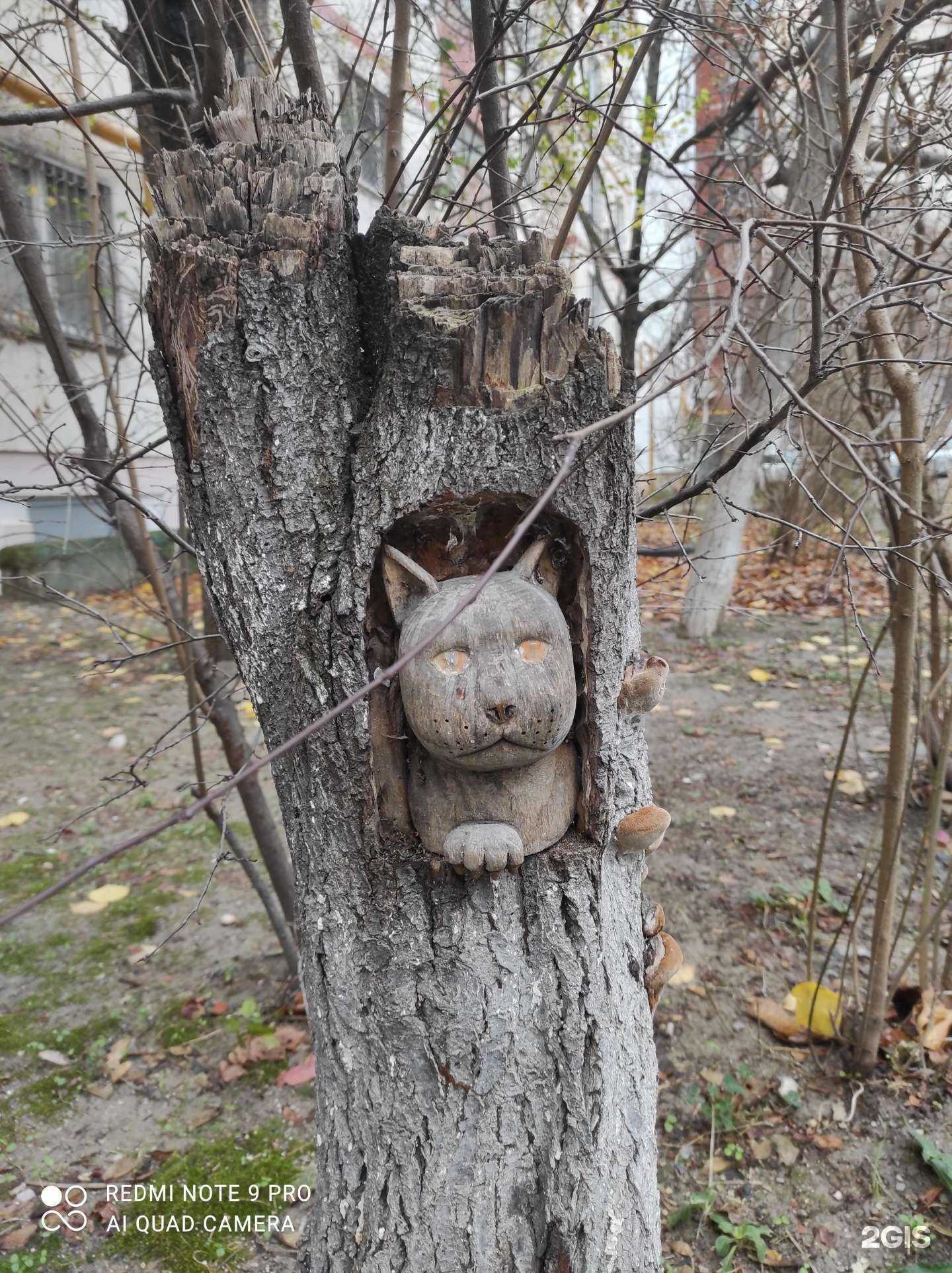 Отзывы на компанию Комильфо в Новороссийске c фото - фотография 2 из 2