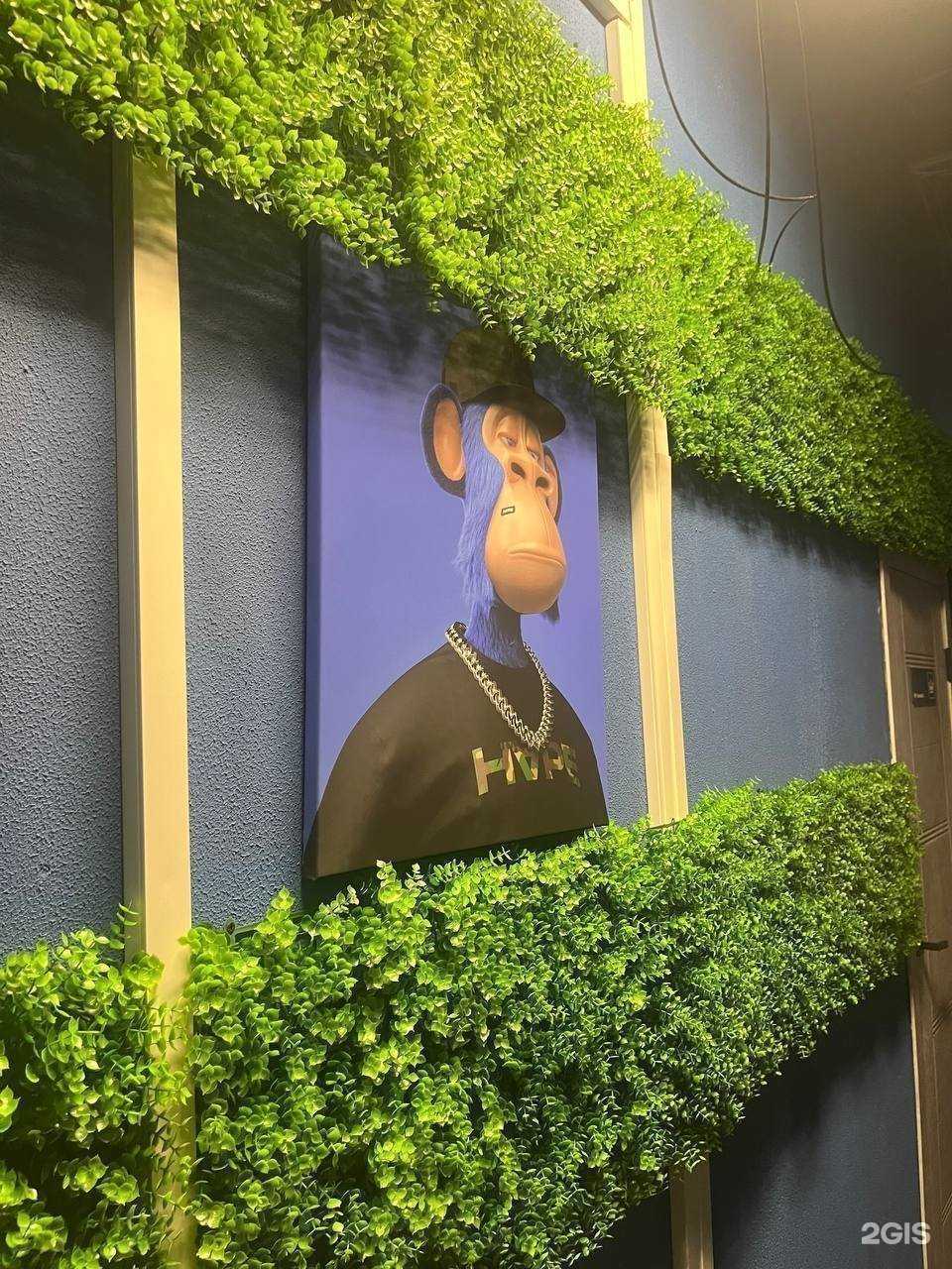 Отзывы на компанию Street Gaming в Костроме c фото