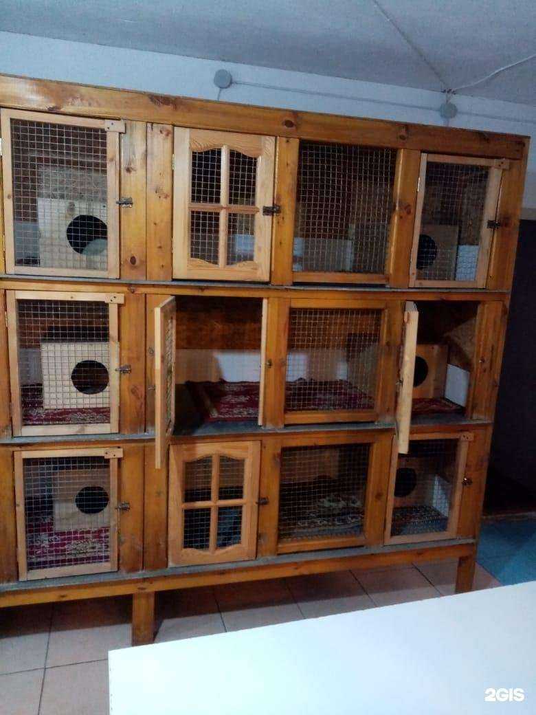 Отзывы на компанию Сибирский Бастион в г. Омск c фото