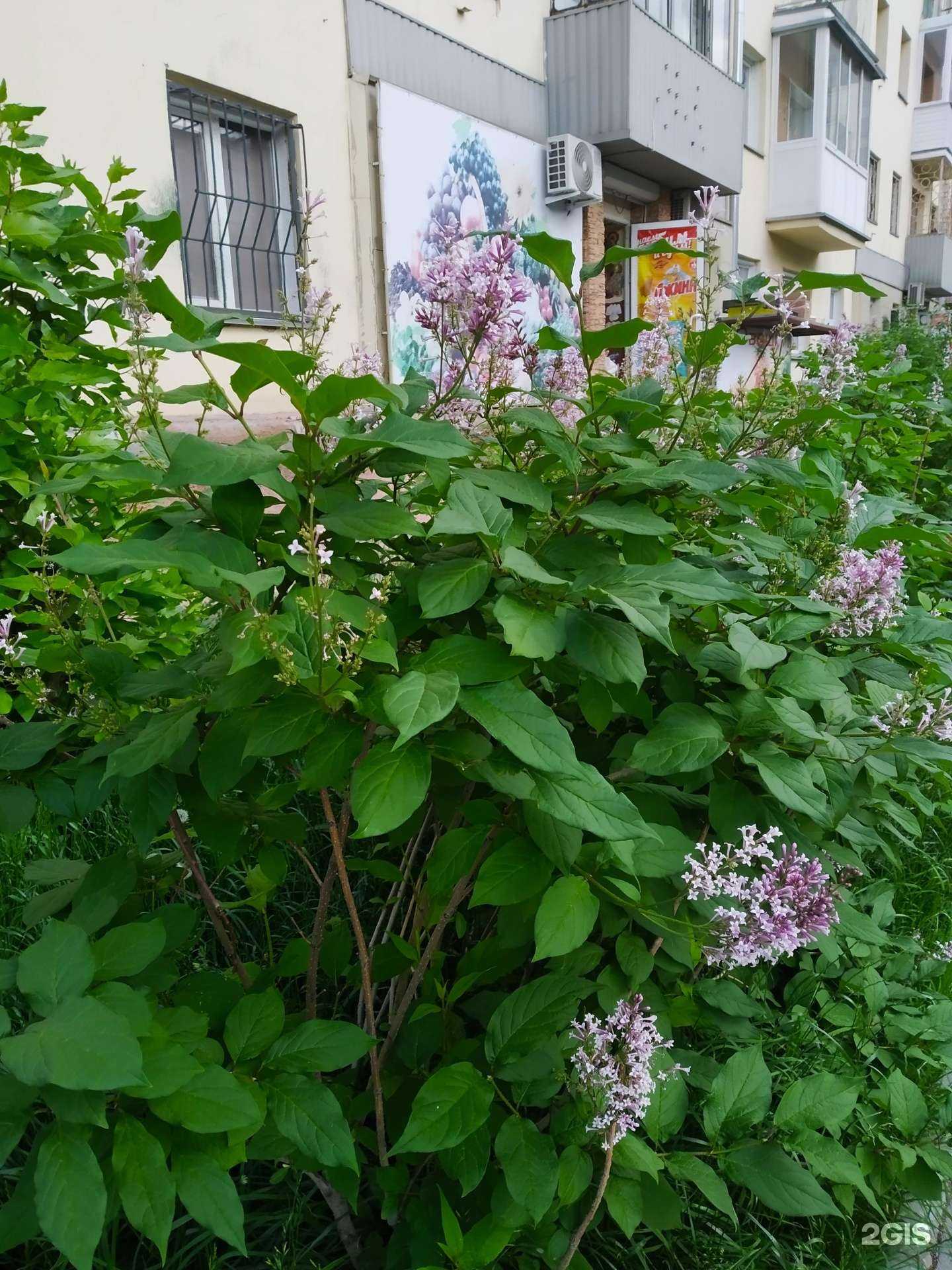 Отзывы на компанию Volprint в Новосибирске c фото - фотография 2 из 2