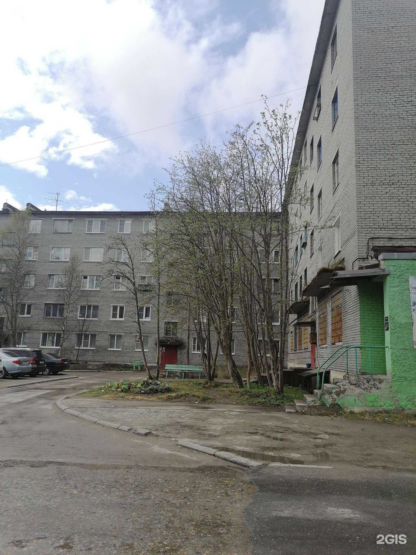 Отзывы на компанию Орхидея в Ковдоре c фото - фотография 2 из 2