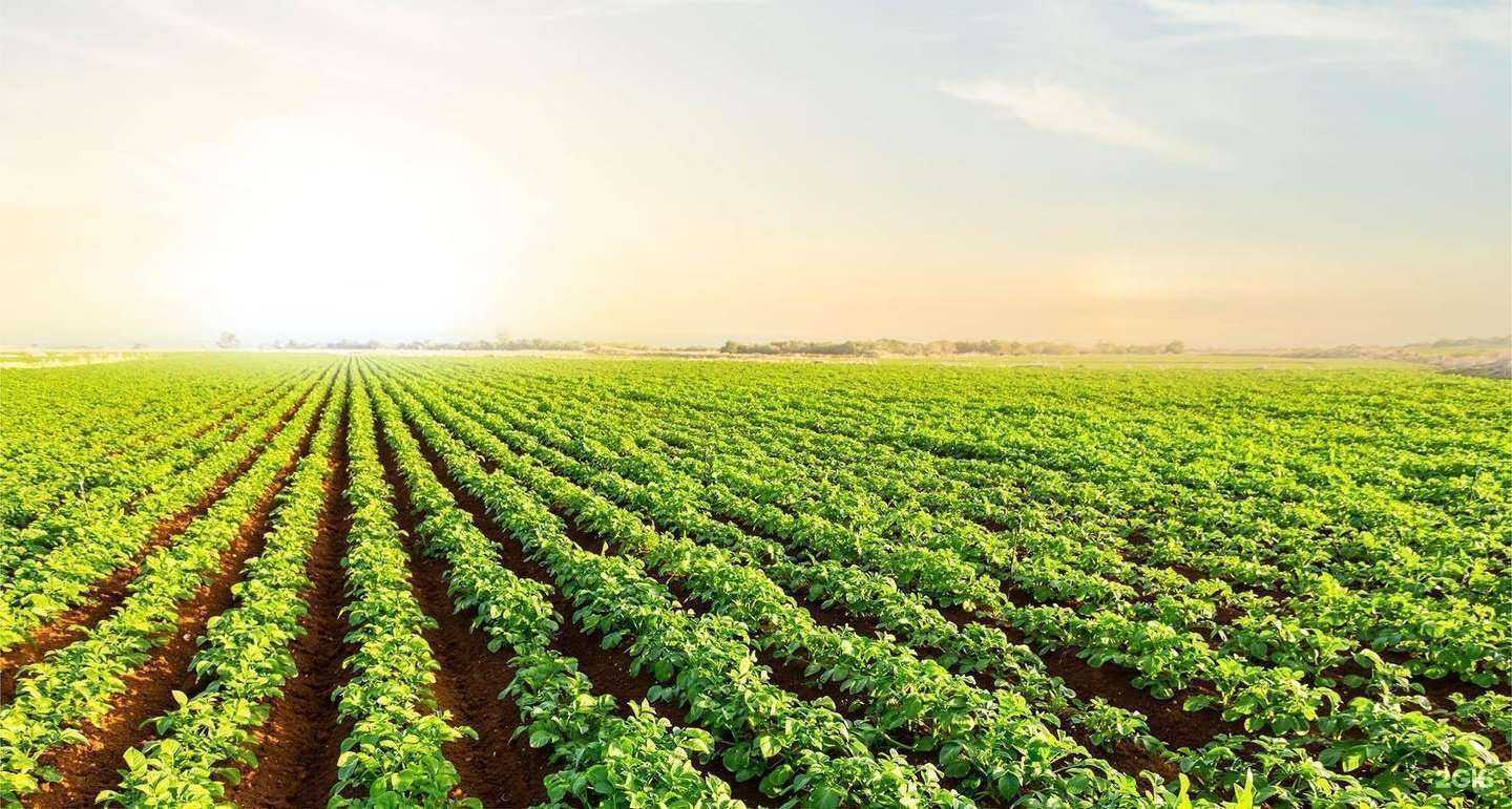 Отзывы на компанию Ветом в г. Барнаул c фото