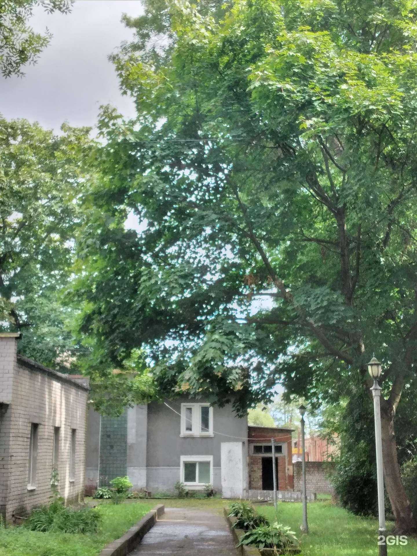 Отзывы на компанию Билборды39 в Калининграде c фото - фотография 2 из 2