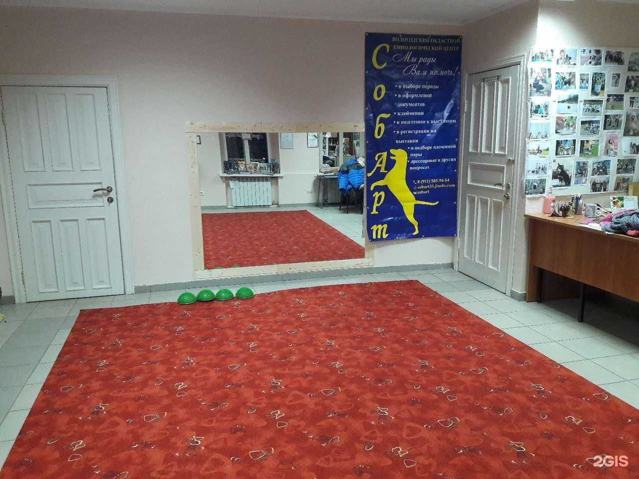 Отзывы на компанию СобАрт в г. Вологда c фото