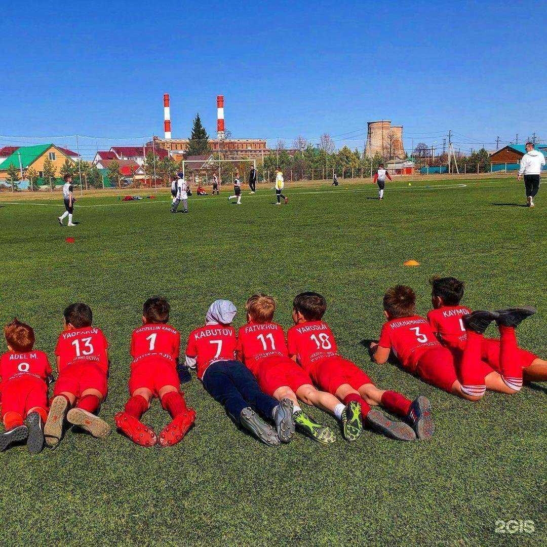 Отзывы на компанию Буцифалл в Альметьевске c фото