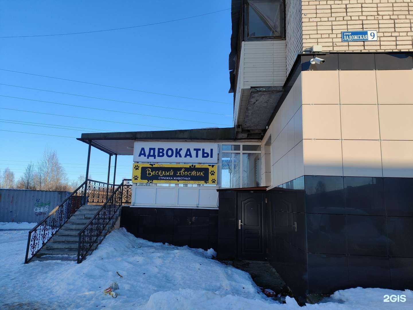 Отзывы на компанию Весёлый хвостик в Кировске c фото