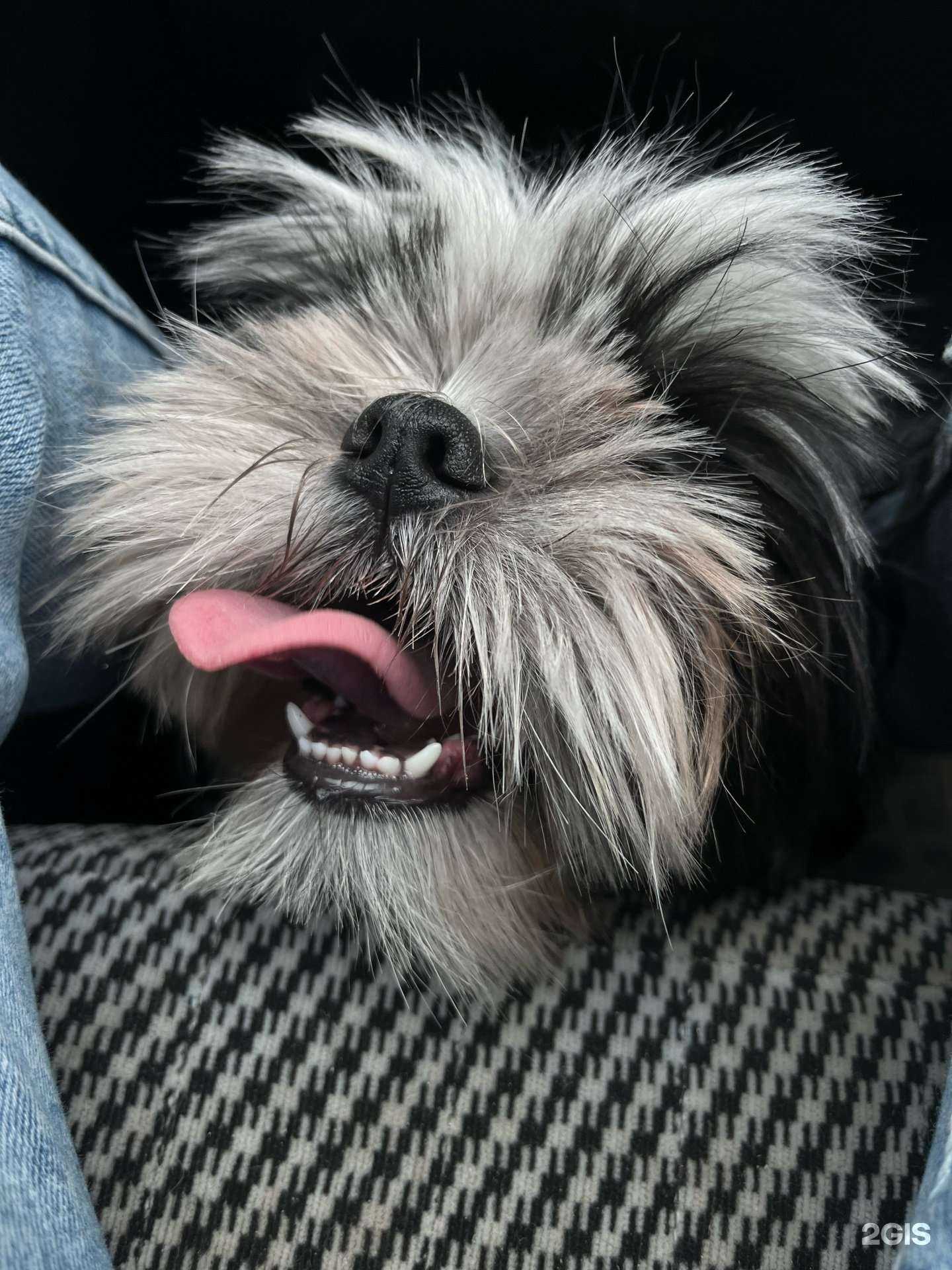 Отзывы на компанию Слон в Самаре c фото