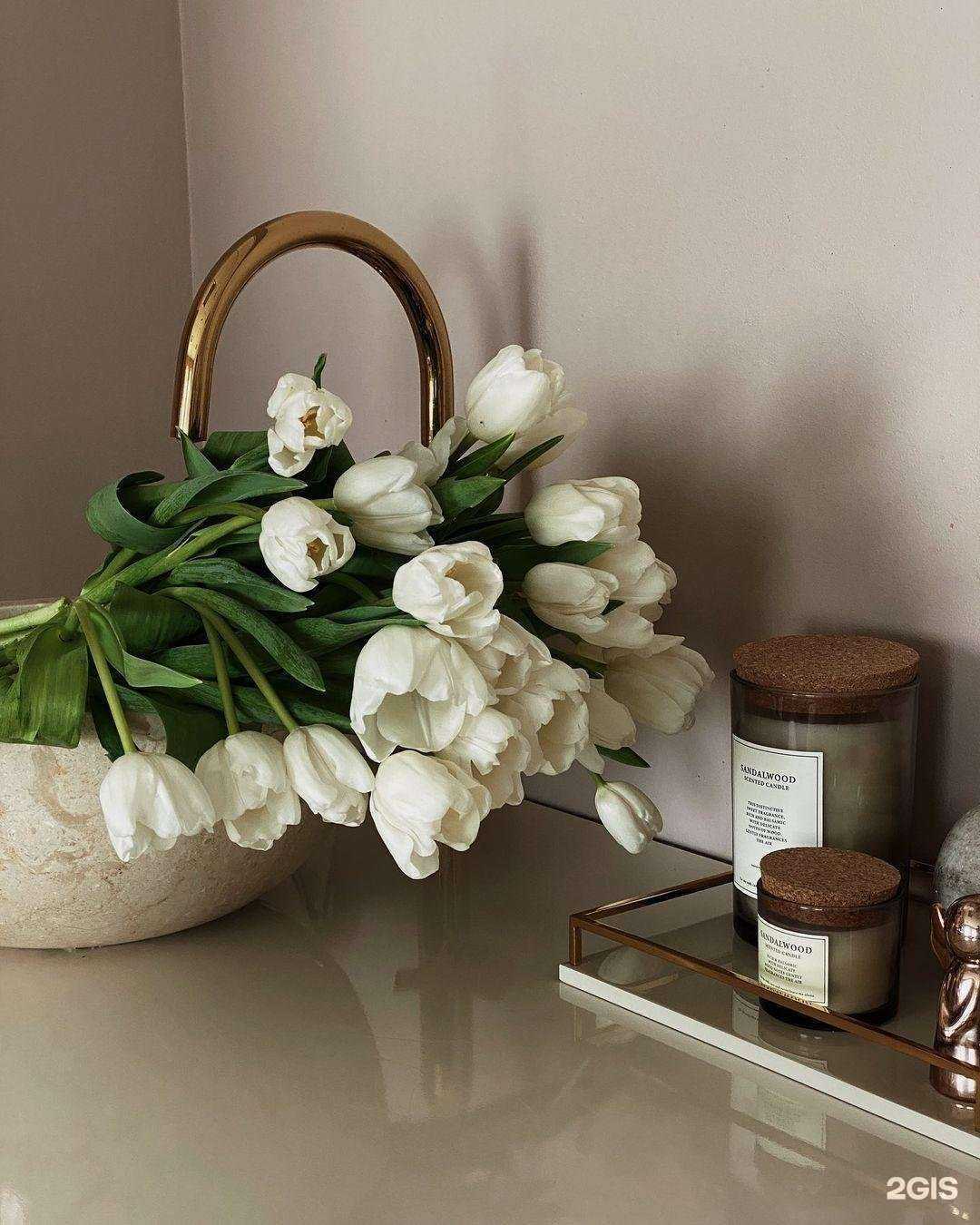 Отзывы на компанию Dr. Shuhnina в г. Пятигорск c фото