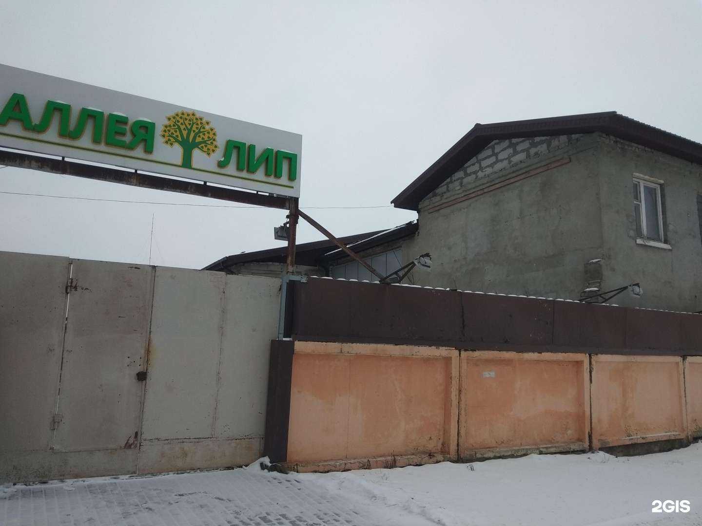 Отзывы на компанию Аллея лип в г. Липецк c фото