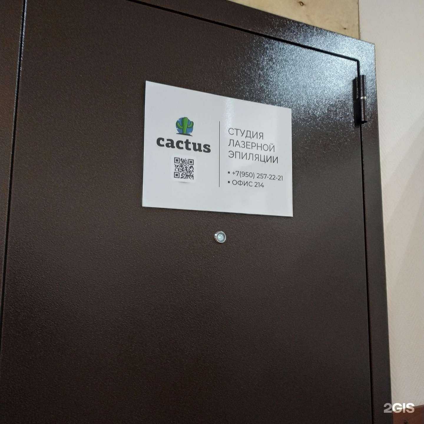 Отзывы на компанию Cactus в Вологде c фото