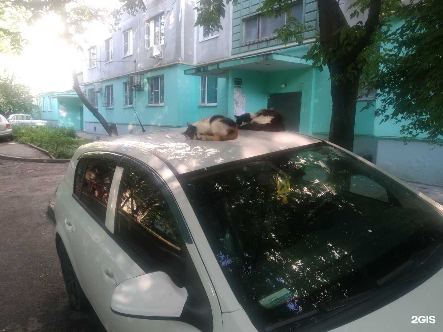 Отзывы на компанию Бухгалтерия-Онлайн в Ростове-на-Дону c фото - фотография 2 из 2