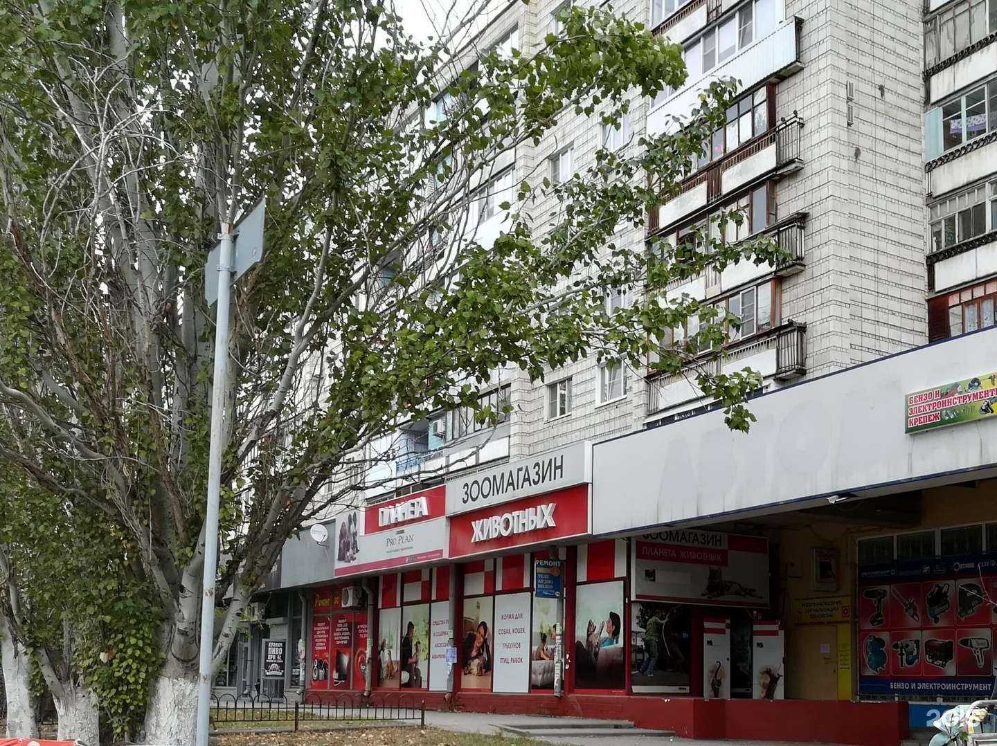 Отзывы на компанию Планета животных в г. Волгоград c фото