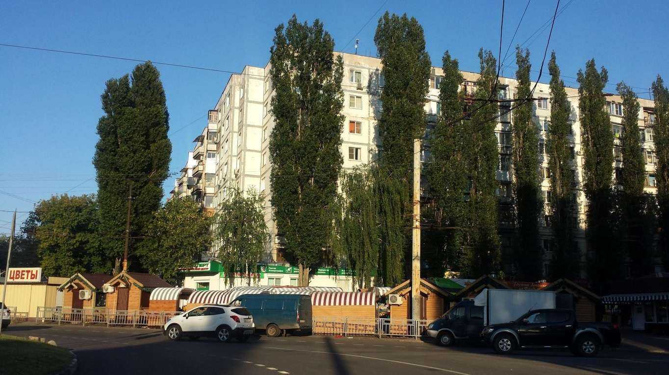 Отзывы на компанию Адвокатский кабинет Сорокина В.А. в Воронеже c фото - фотография 2 из 2