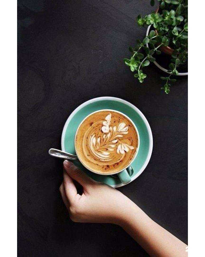 Отзывы на компанию Сова в Смоленске c фото