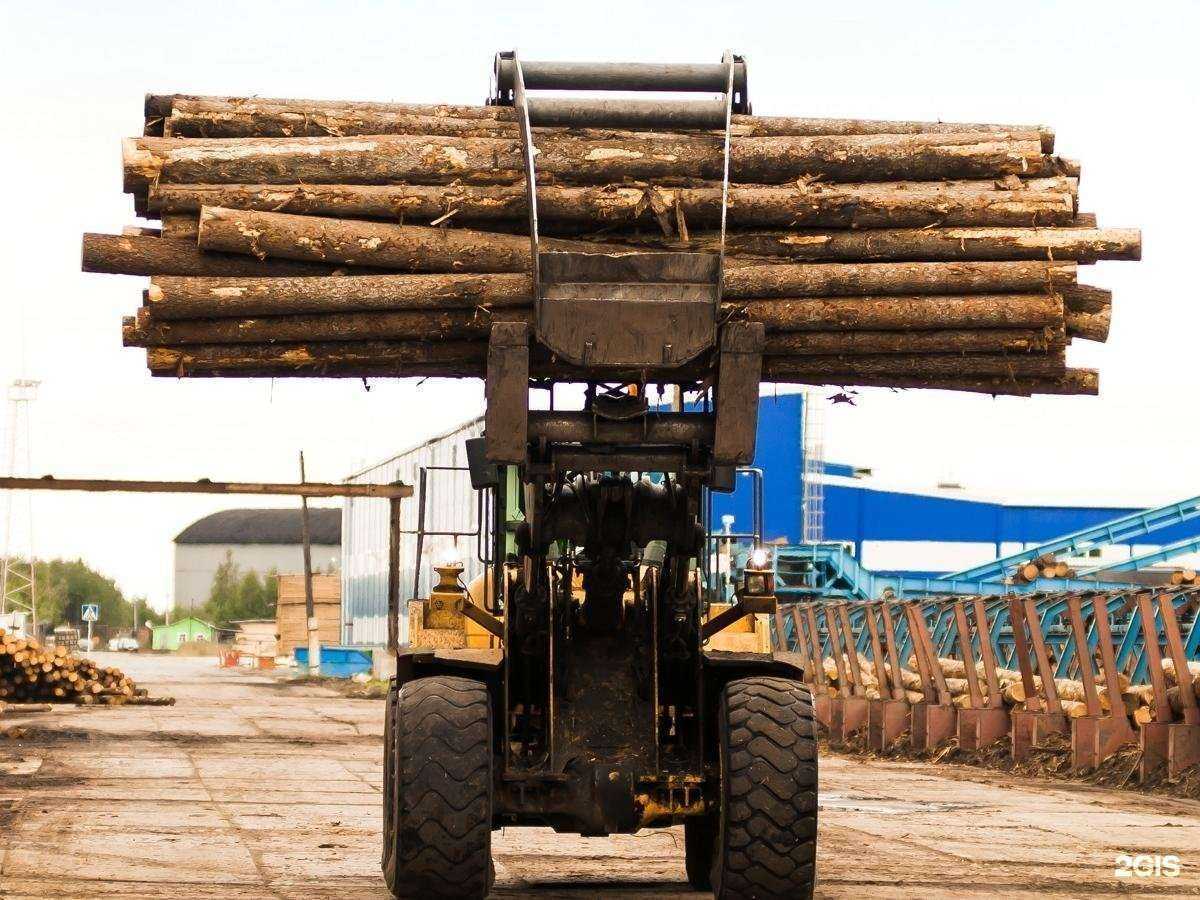 Отзывы на компанию Лесозавод 25 в г. Архангельск c фото