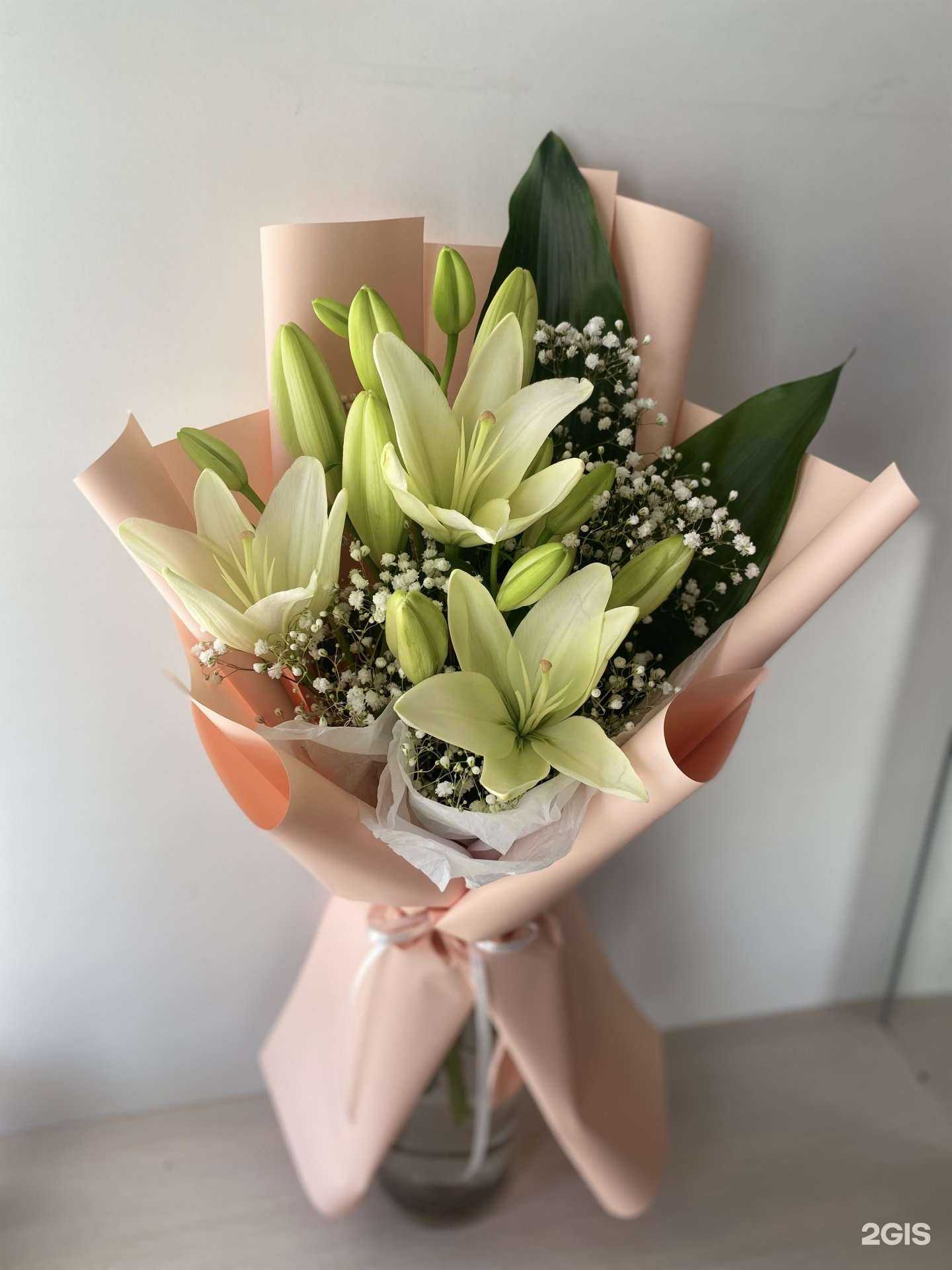 Отзывы на компанию Луна в г. Воронеж c фото