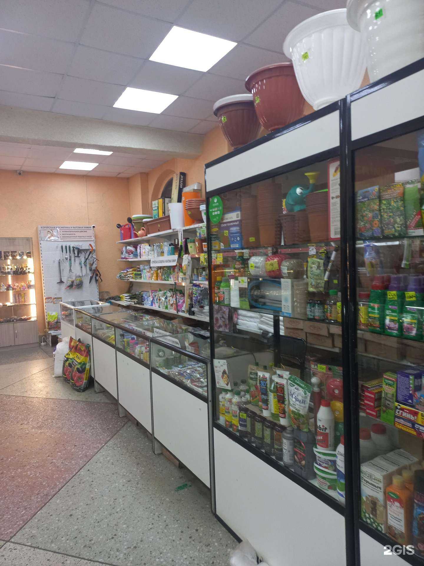 Отзывы на компанию Семена в Иркутске c фото