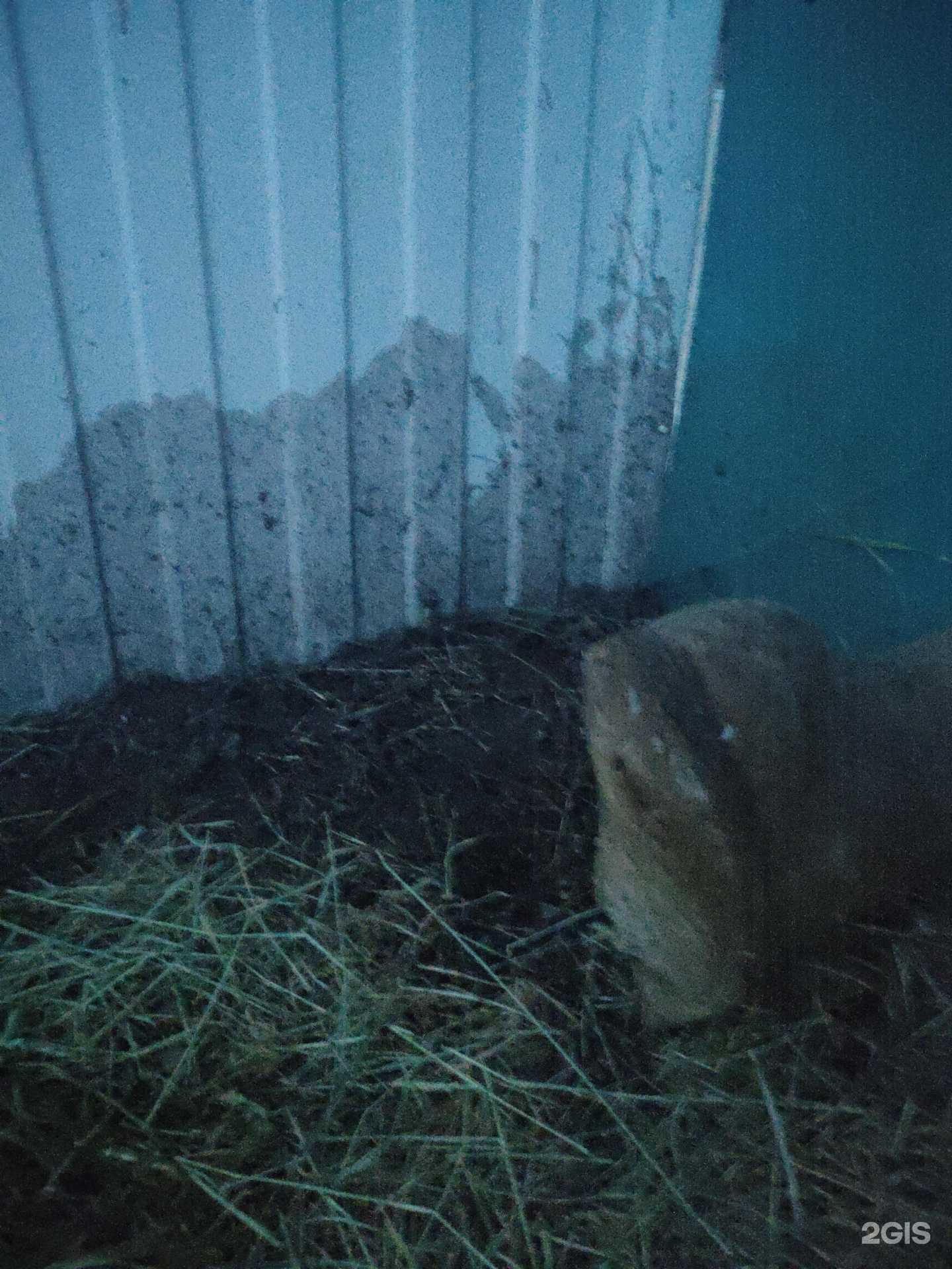 Отзывы на компанию Новые экологические технологии в г. Якутск c фото