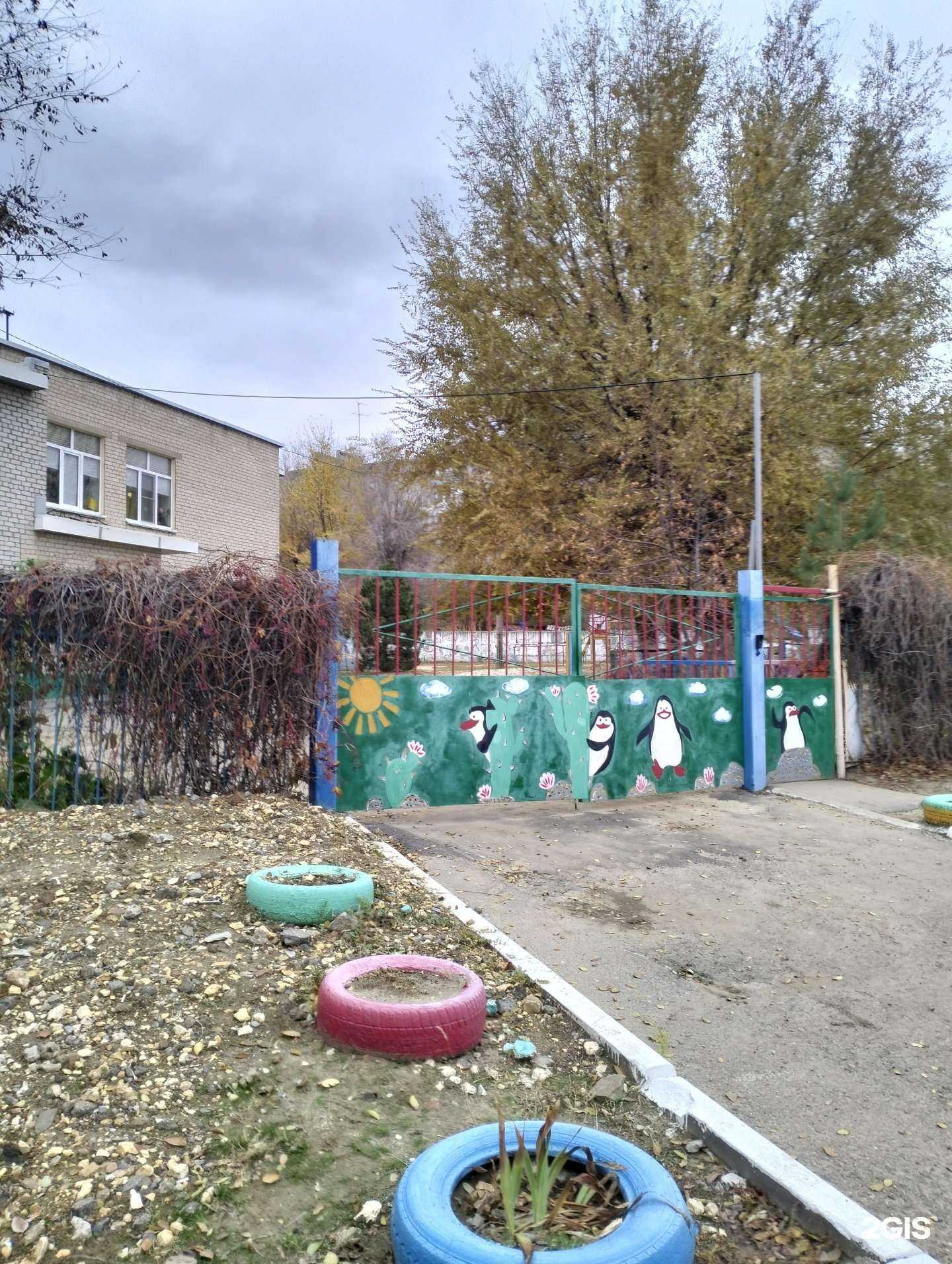 Отзывы на компанию Black Tigers в Волгограде c фото