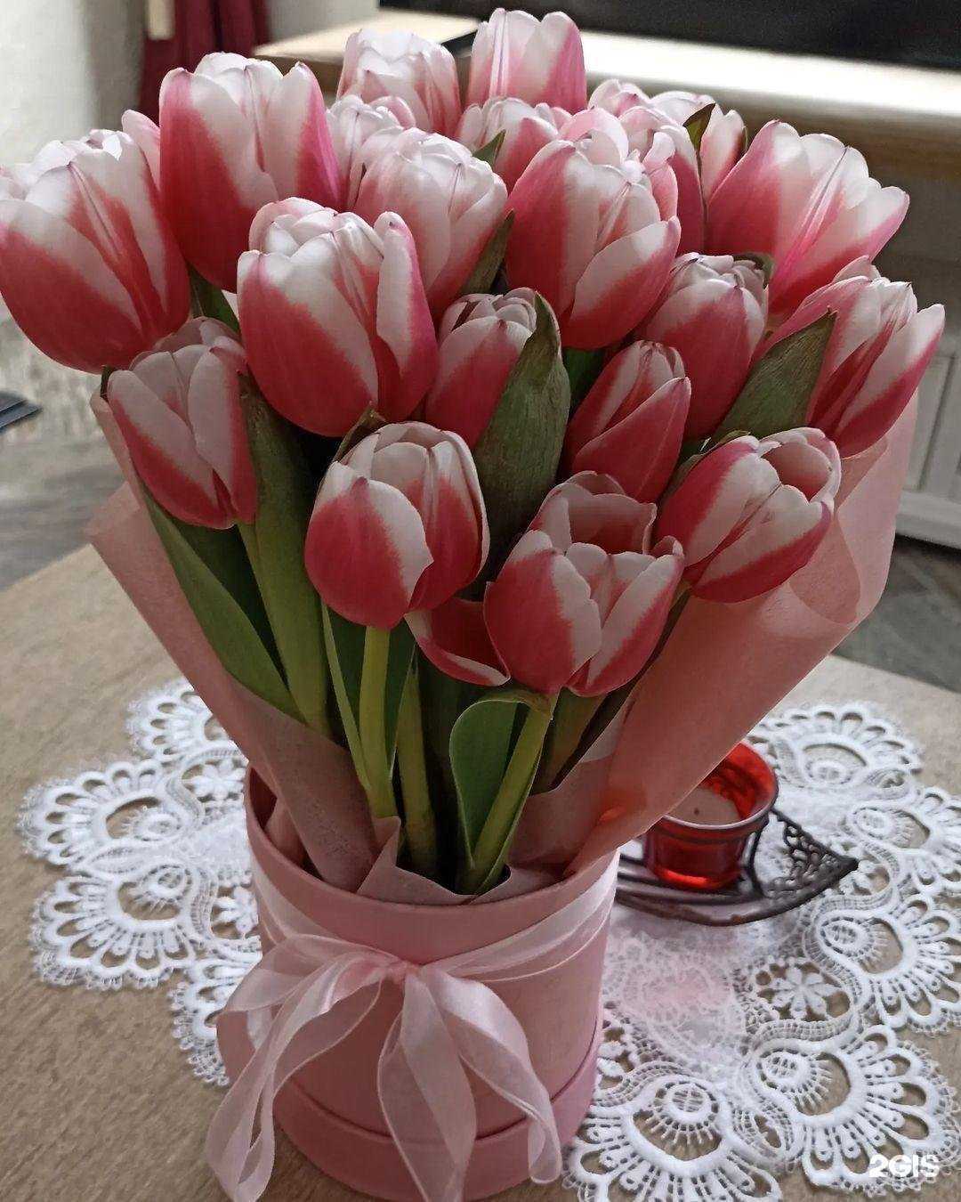 Отзывы на компанию Теннисный клуб в г. Екатеринбург c фото