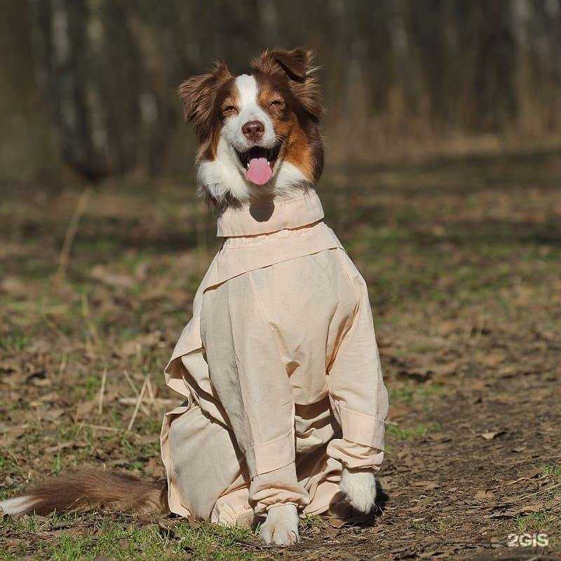 Отзывы на компанию Планета ZOO в г. Кемерово c фото