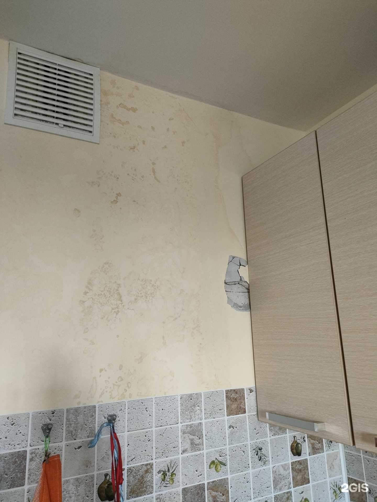 Отзывы на компанию Rose Center в Ярославле c фото - фотография 2 из 2