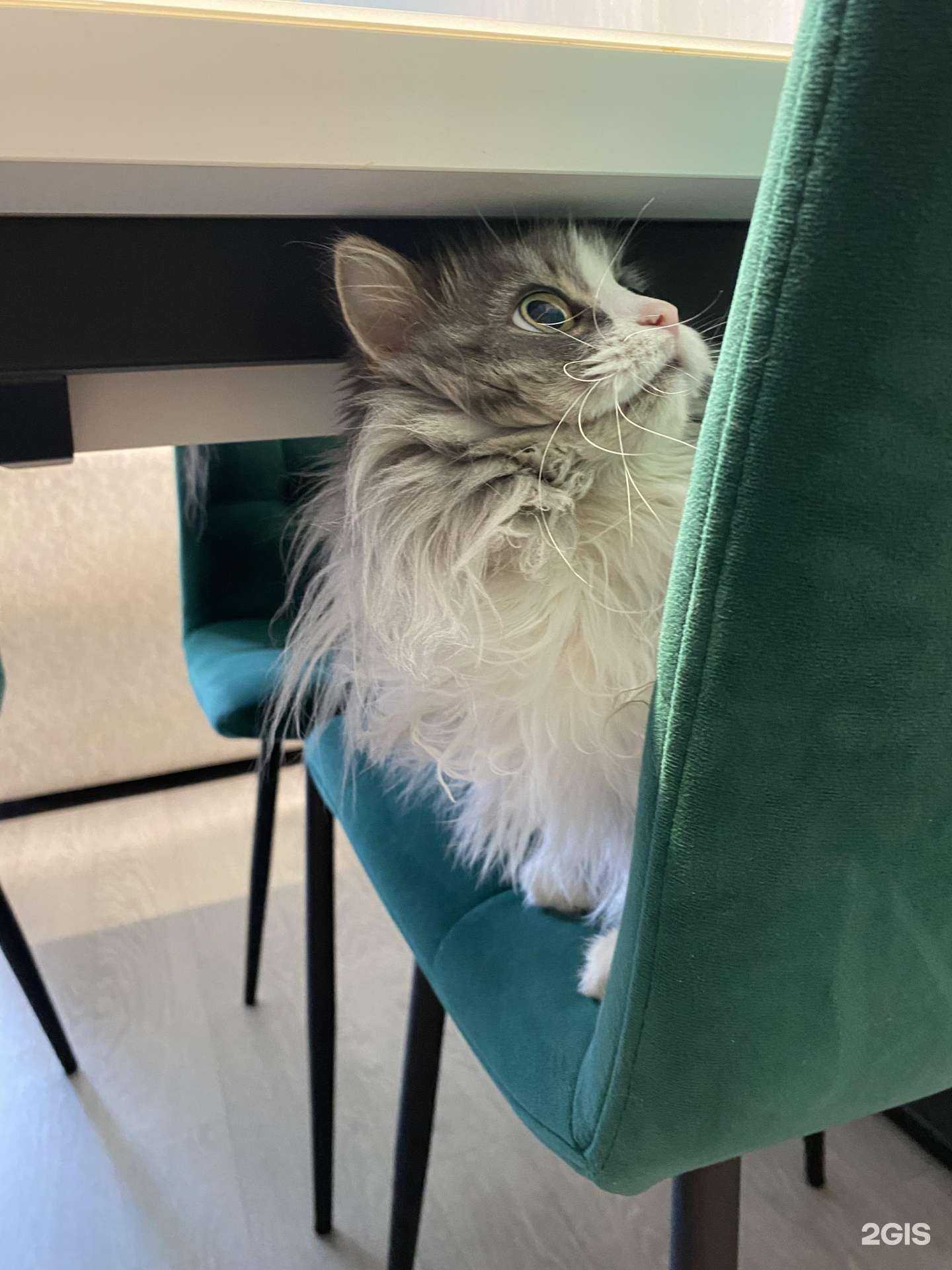 Отзывы на компанию Forpost-shop в Перми c фото