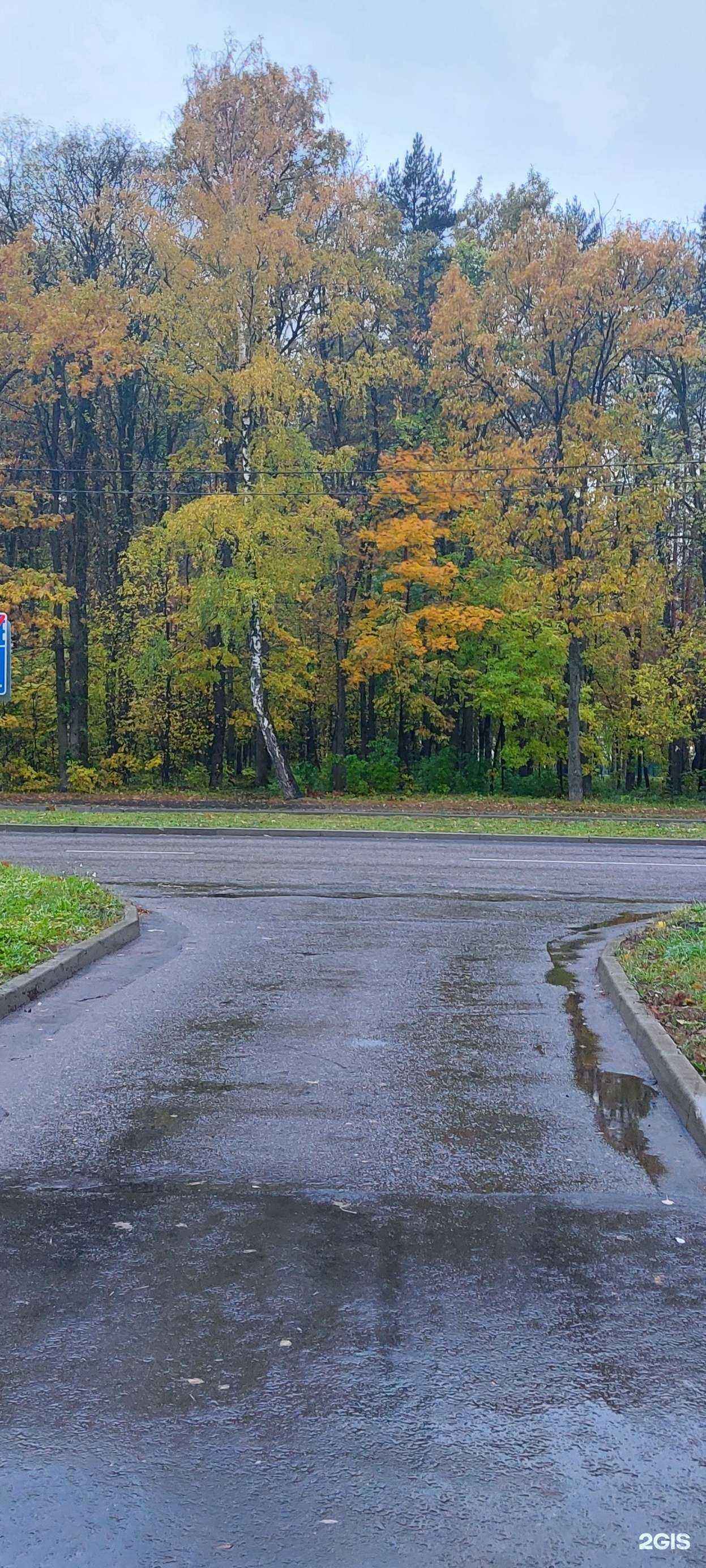 Отзывы на компанию Подольское бюро недвижимости в Подольске c фото - фотография 2 из 2