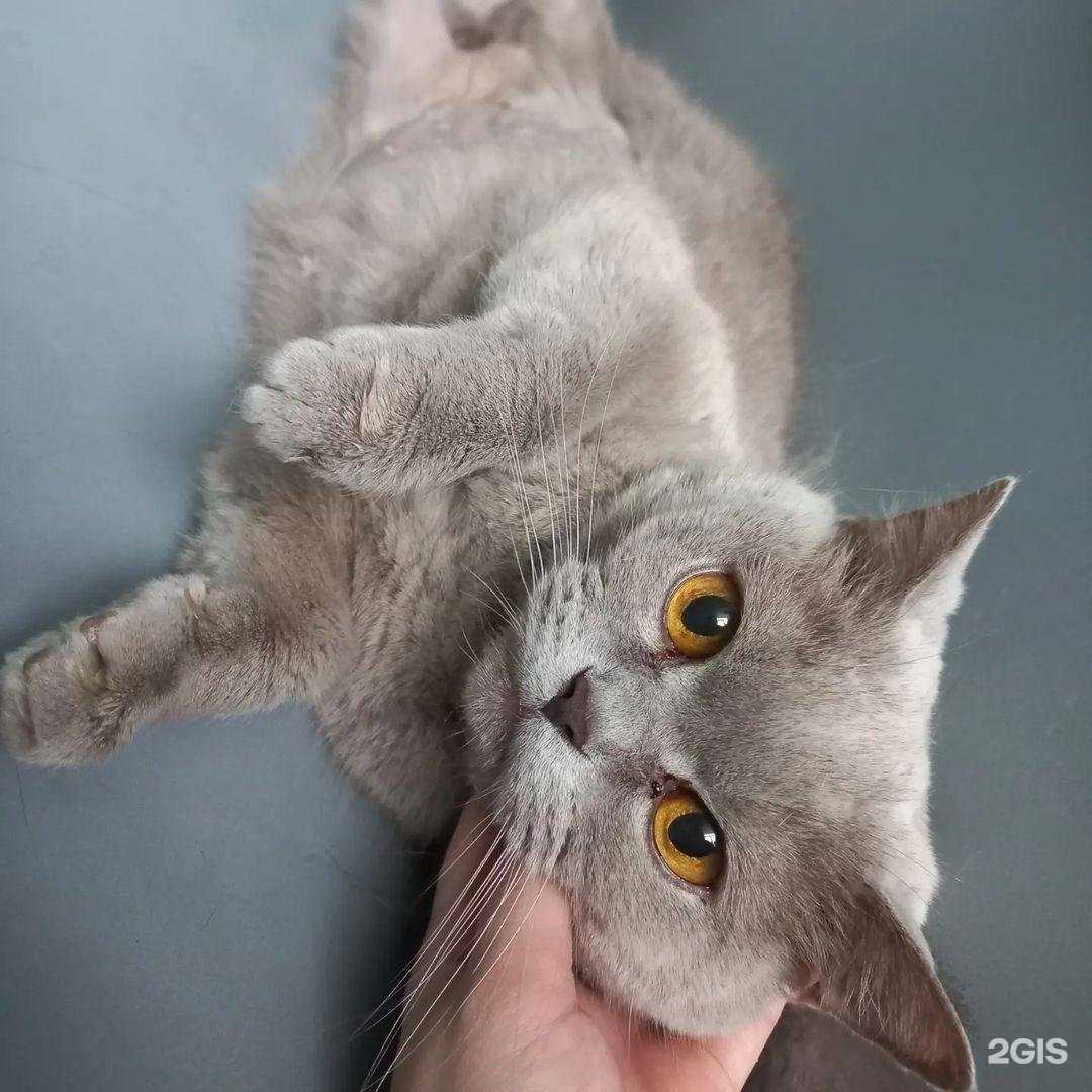 Отзывы на компанию Охотник в Орле c фото