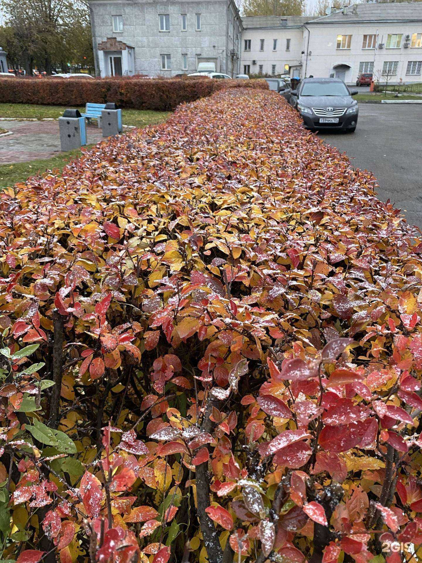 Отзывы на компанию City Dent в Красноярске c фото - фотография 2 из 2