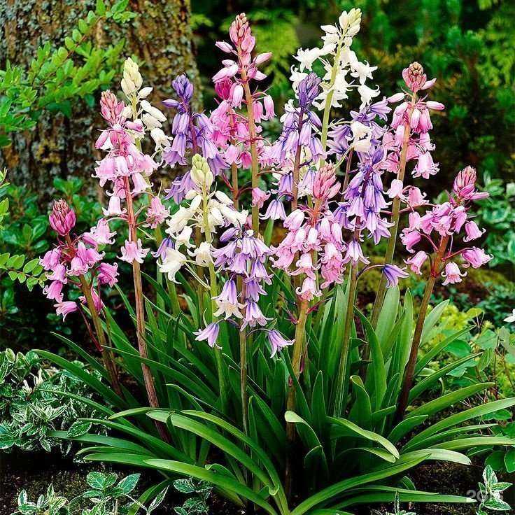 Отзывы на компанию Цветовед в Обнинске c фото