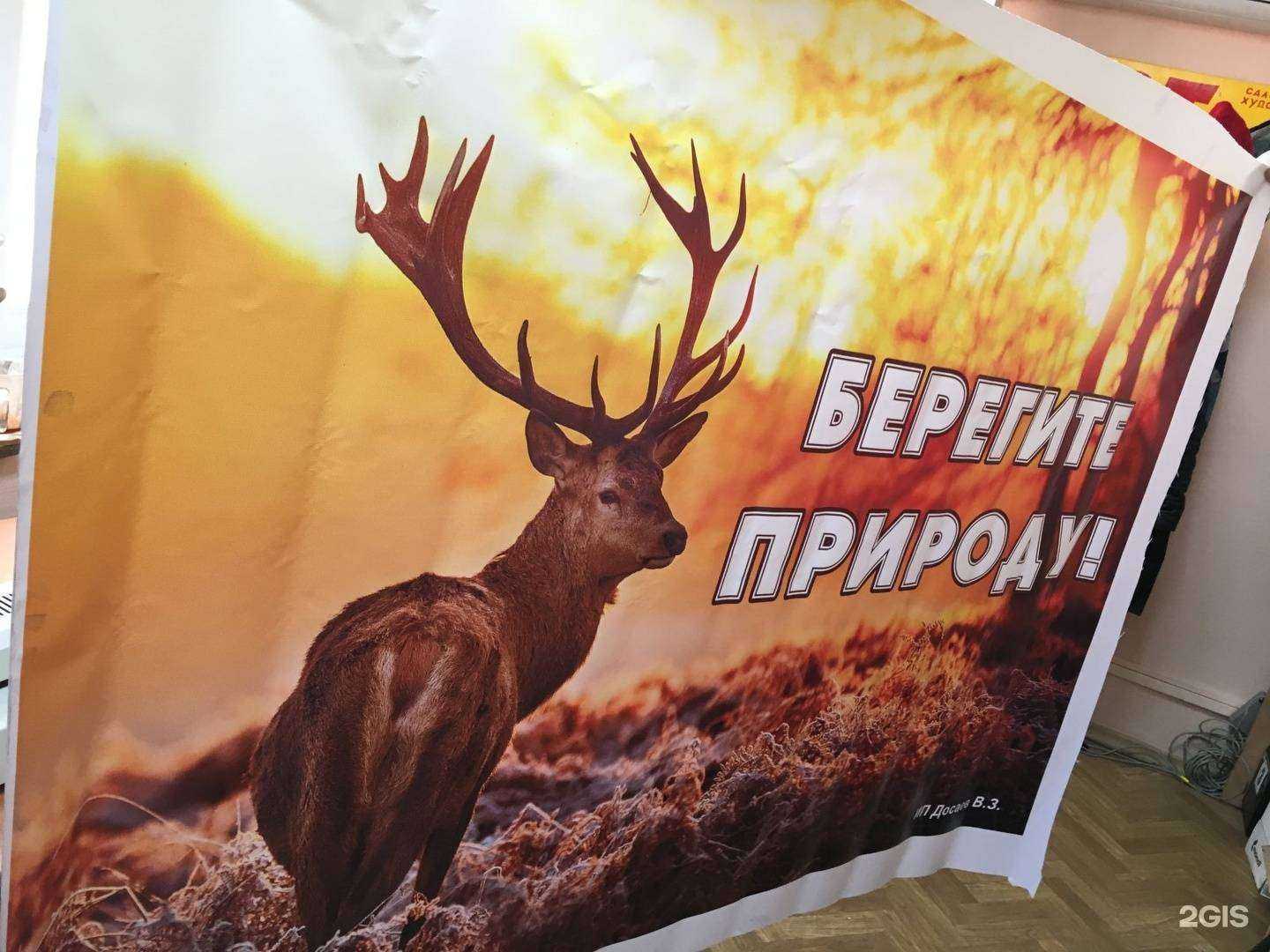 Отзывы на компанию АРТмосфера в Улан-Удэ c фото