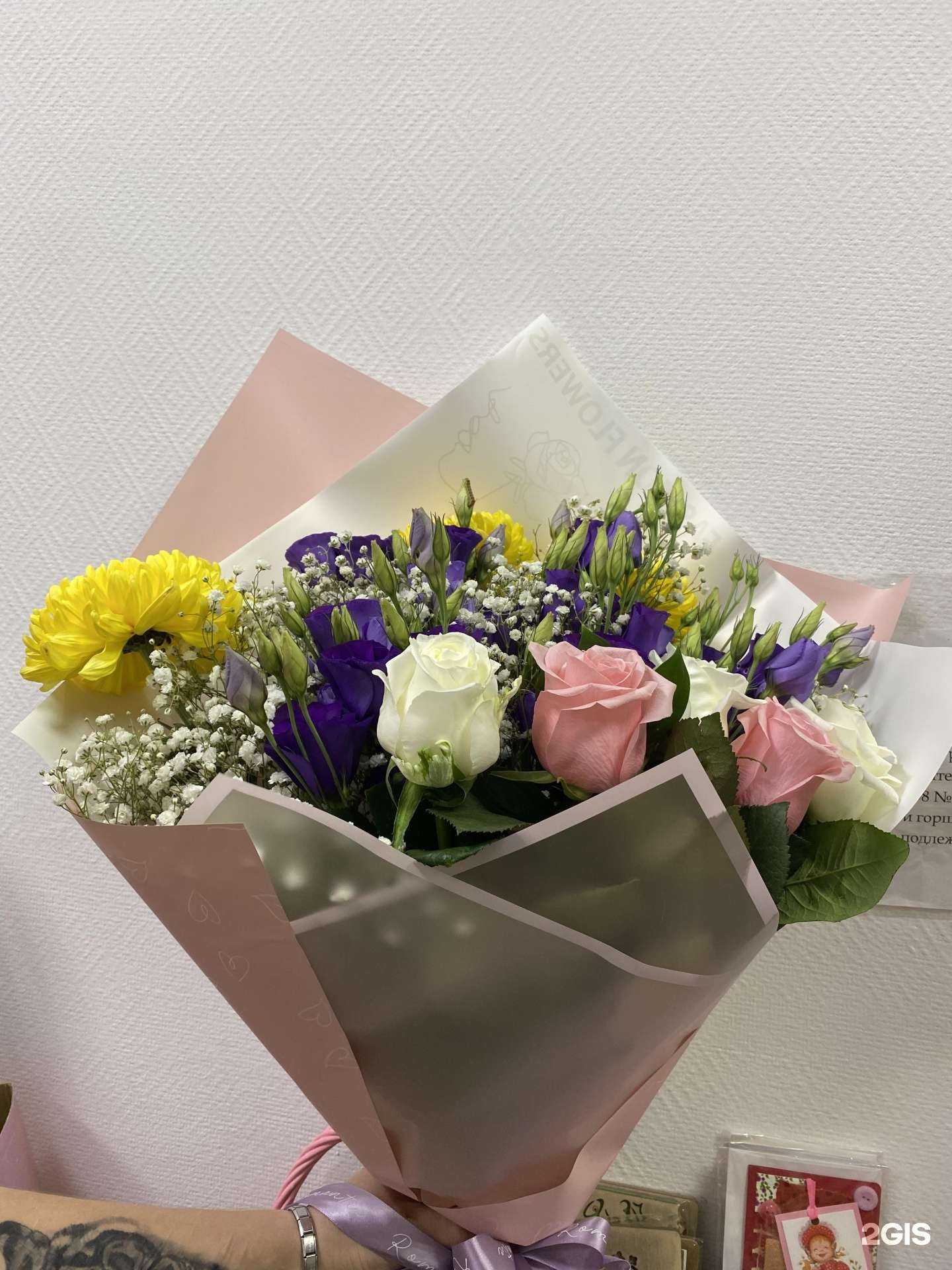 Отзывы на компанию Sicilia в Краснодаре c фото