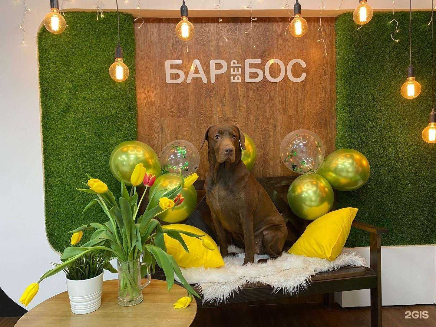 Отзывы на компанию Барбербос в Красноярске c фото