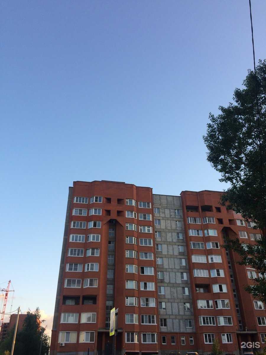 Отзывы на компанию Sup_Rzn в Рязани c фото - фотография 2 из 2