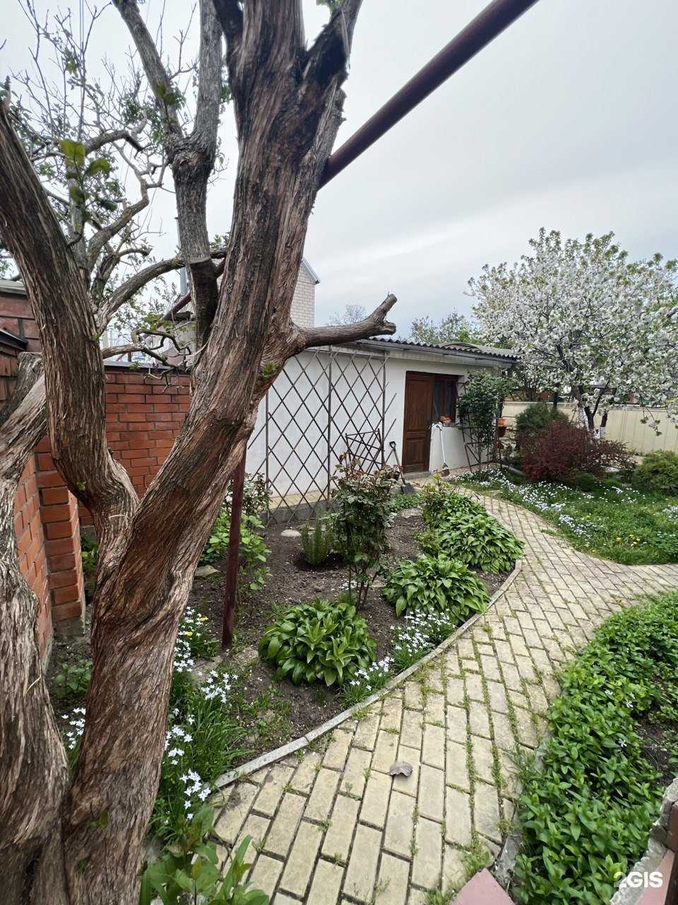 Отзывы на компанию Гортензия в Анапе c фото