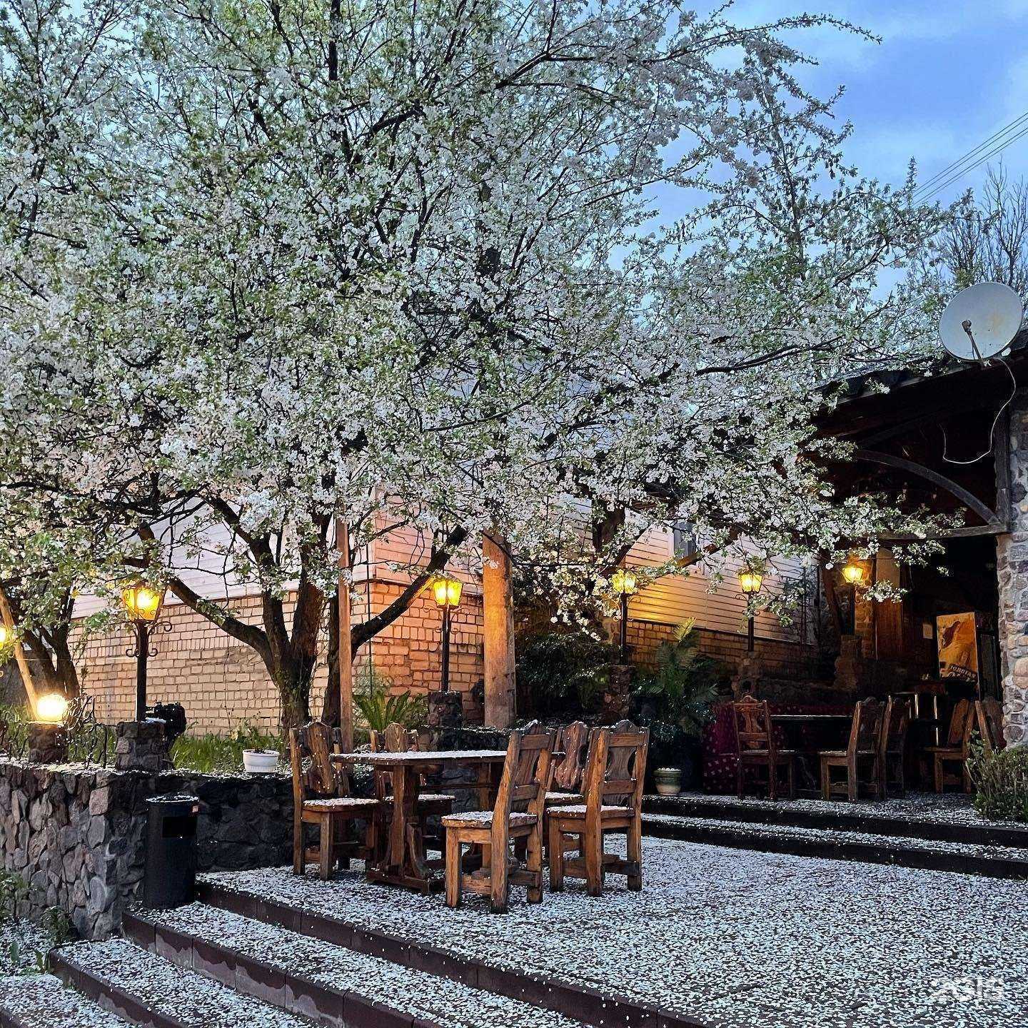 Отзывы на компанию Престиж в Смоленске c фото