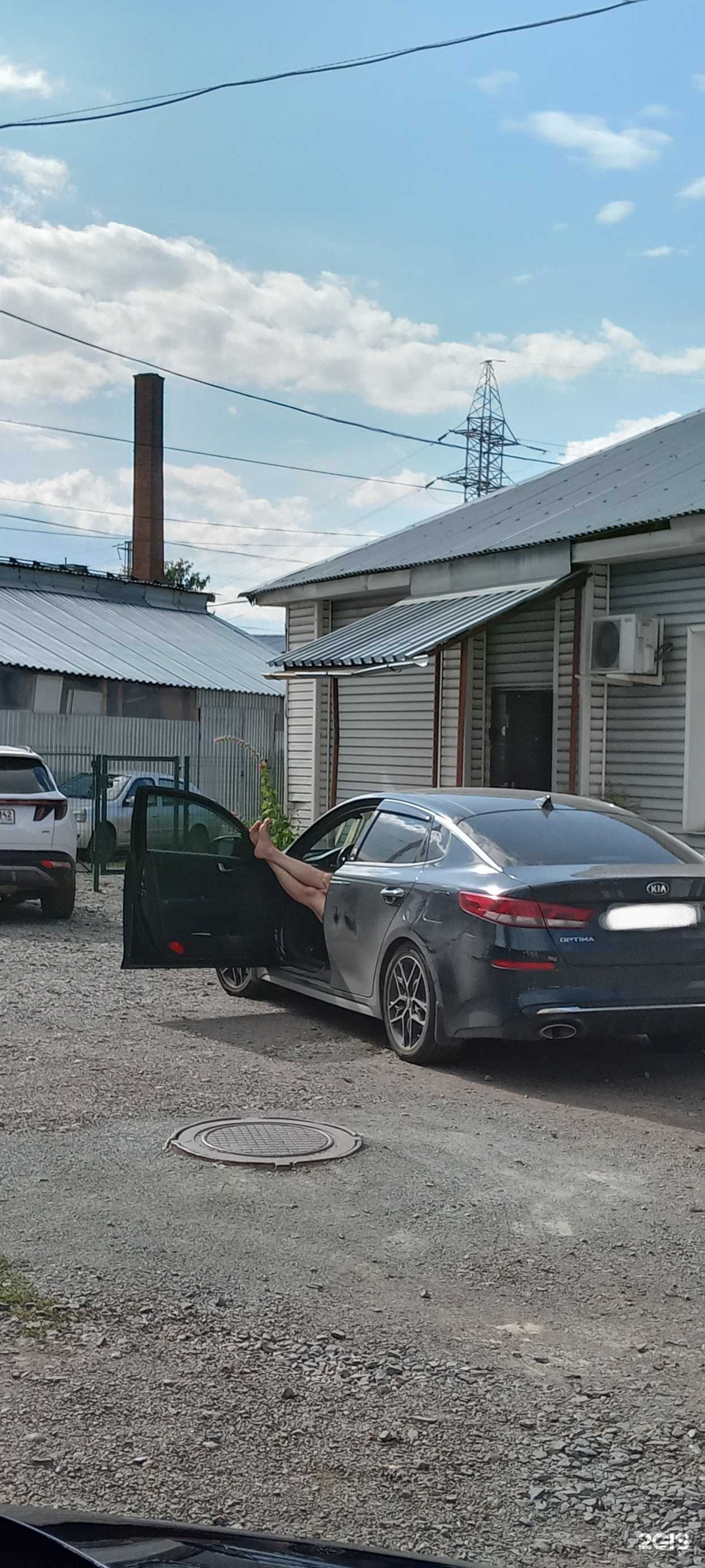 Отзывы на компанию Doggi в Кемерове c фото - фотография 2 из 2