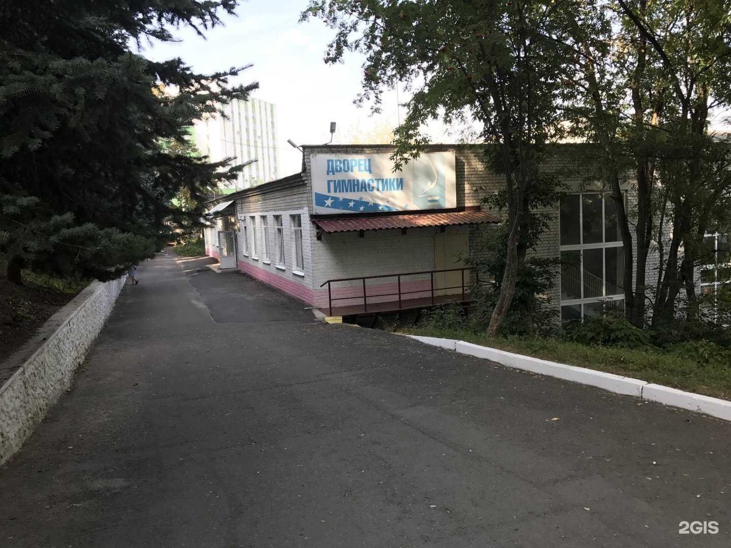 Отзывы на компанию Спортивная школа олимпийского резерва по спортивной гимнастике в Брянске c фото