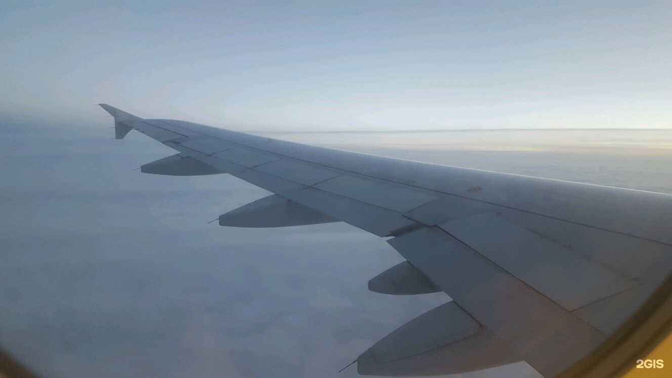 Отзывы на компанию Pegas Touristik в Нижнем Тагиле c фото