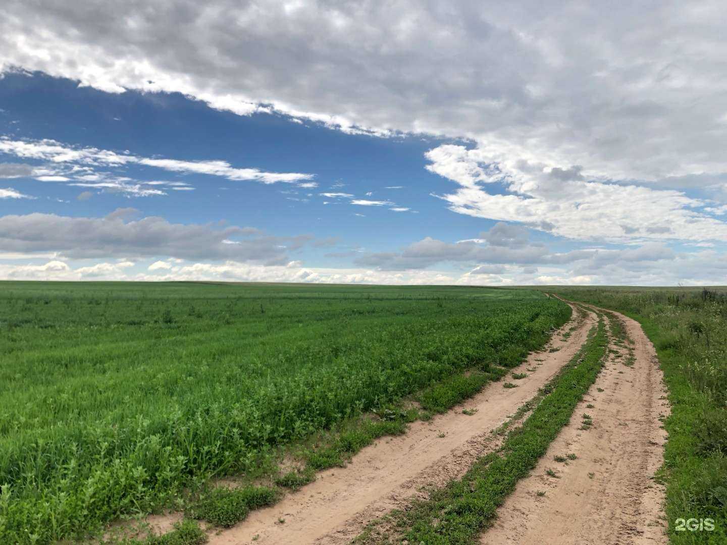 Отзывы на компанию Пруды в г. Нижний Новгород c фото