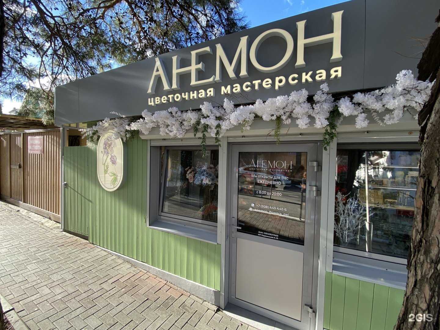 Отзывы на компанию Анемон в г. Геленджик c фото